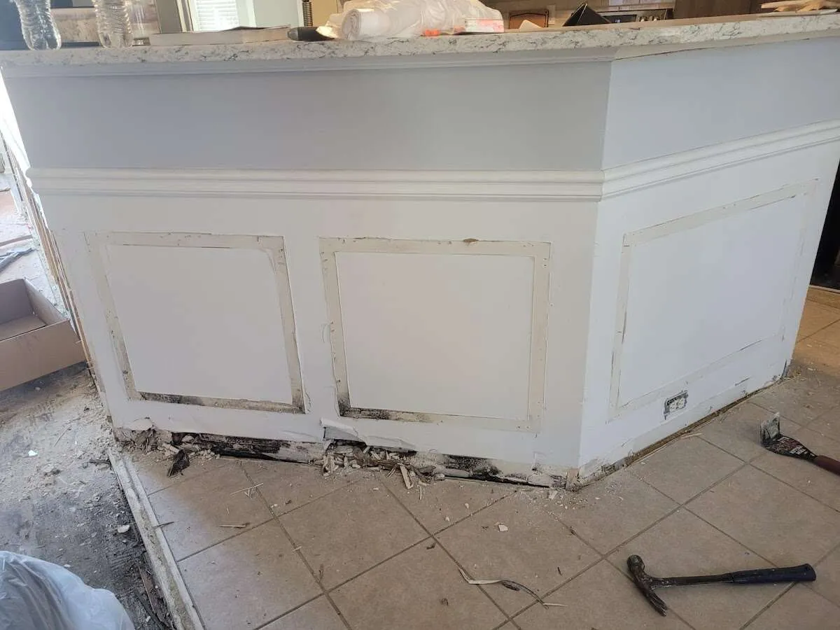 Water damage and mold on kitchen during Mold Inspection & Testing in Breaux Bridge